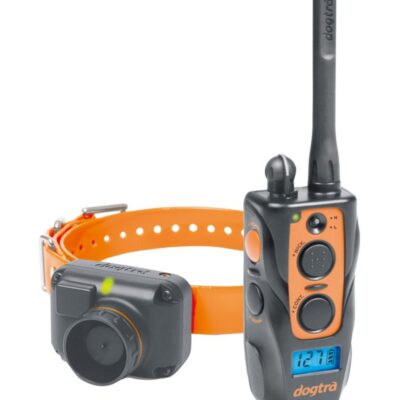 Dogtra 2700 Training and Beeper Collar