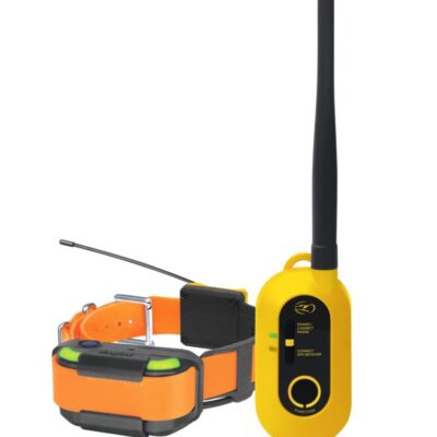 Dogtra Pathfinder 2 Training System