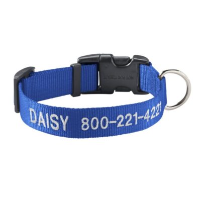 Personalized Pet Collar