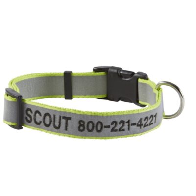 Personalized Pet Collar, Reflective