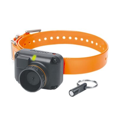 Dogtra STB Beeper Collar