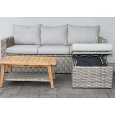 Wicker Storage Sofa and Teak Coffee Table Set